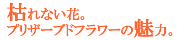 枯れない花。プリザーブドフラワーの魅力